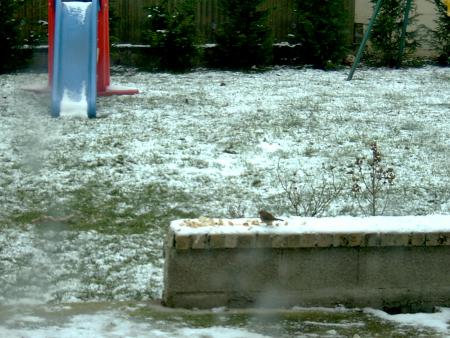 Plan grand froid